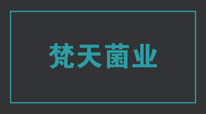 食品行业吉安冲锋衣设计款式