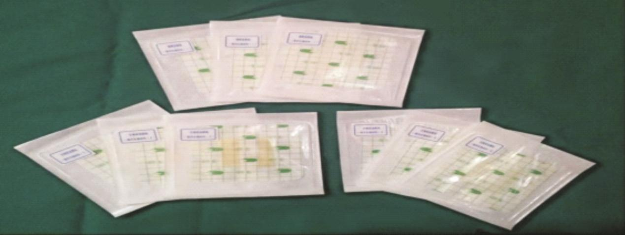 颠覆性新兴产业与产品&mdash;&mdash; 高端现代敷料产品产业化 